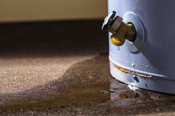 Best Emergency water damage restoration  in Elba, AL