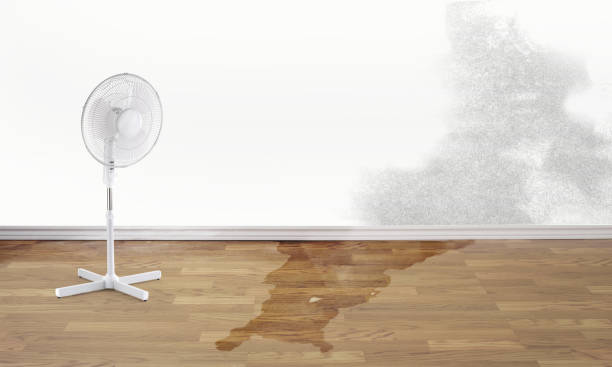 Best Residential water damage restoration  in Elba, AL