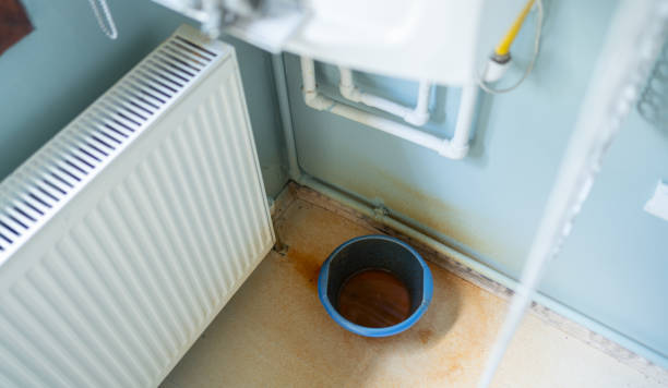 Best Water damage restoration near me  in Elba, AL