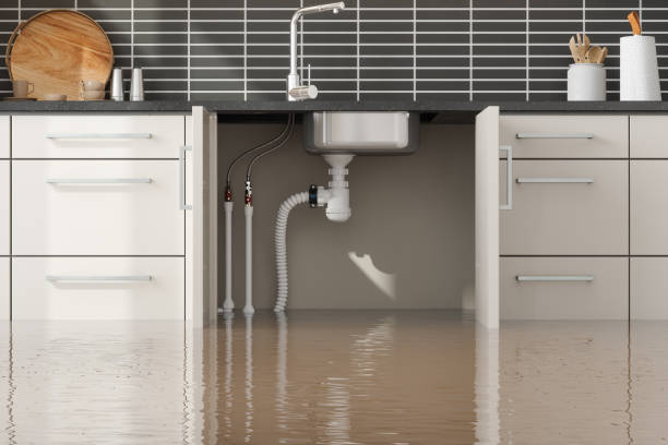 Best Flood restoration services  in Elba, AL