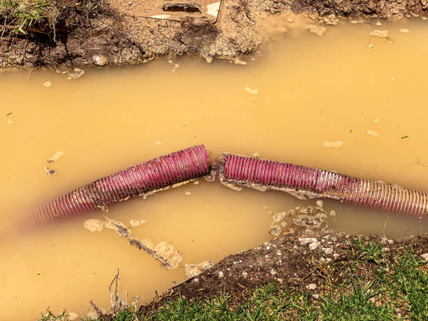 Water damage restoration insurance claims in AL