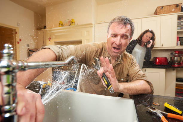 Best Water damage cleanup near me  in Elba, AL